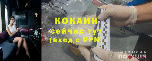 ешки Алексин