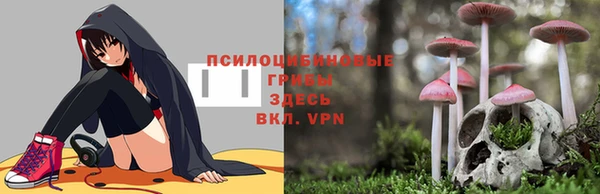 ешки Алексин