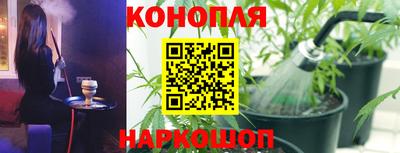 spice Коммунар