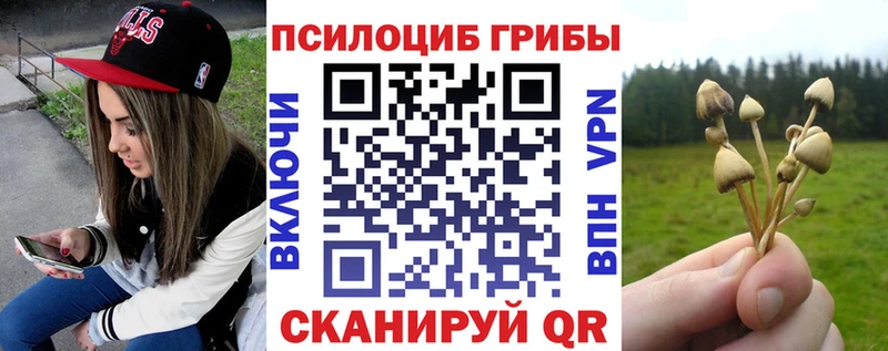 Галлюциногенные грибы Psilocybe  Урай 